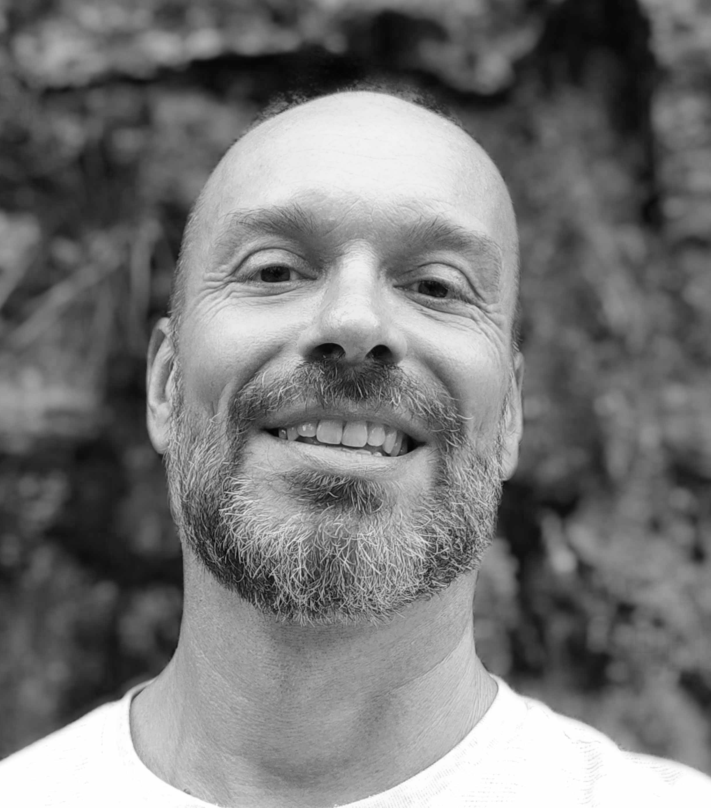 Davide Fassi